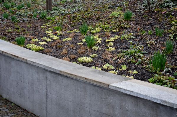 Concrete Wall Construction in Port Orchard
