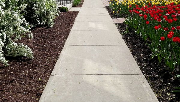 Cement Sidewalk Installation in Port Orchard