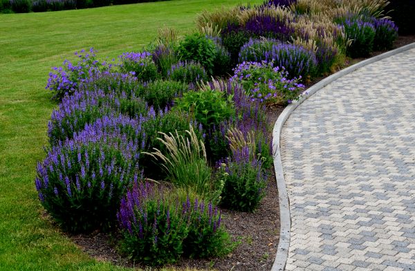 Sidewalk Curb Installation in Port Orchard