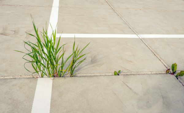 Concrete Parking Installation in Port Orchard